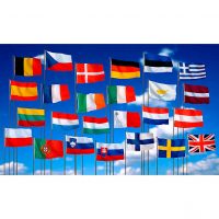 Bandera Internacional 1,40×2,50m