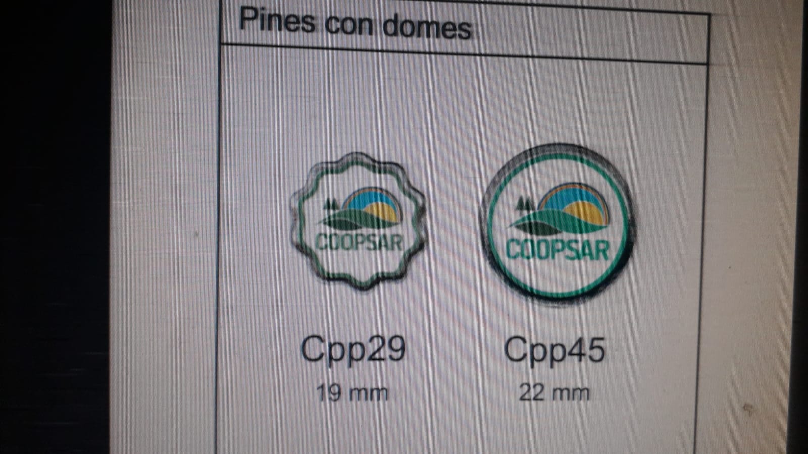 Pin Personalizado